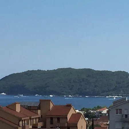 Radulovic *